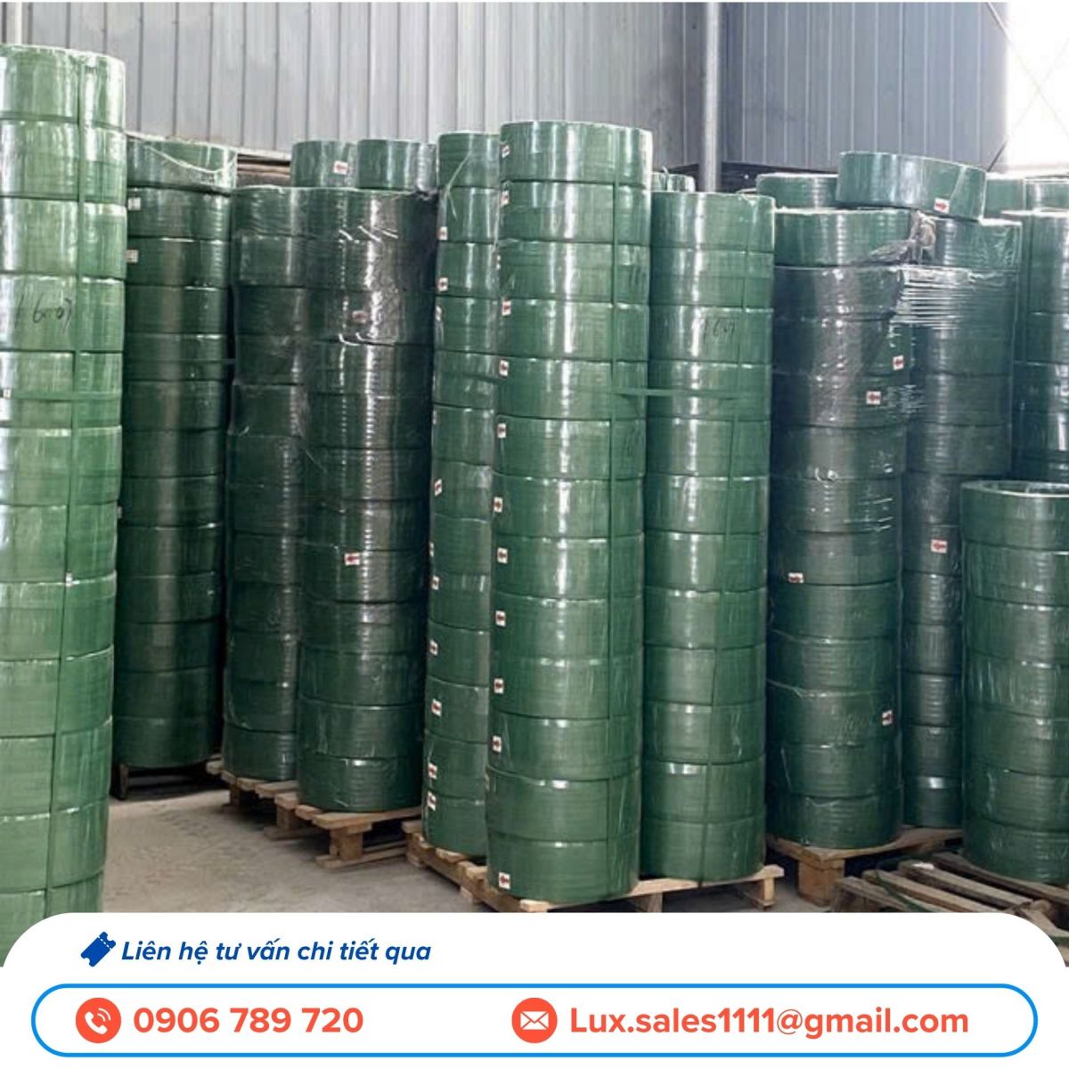 Dây đai PP Dây đai PP